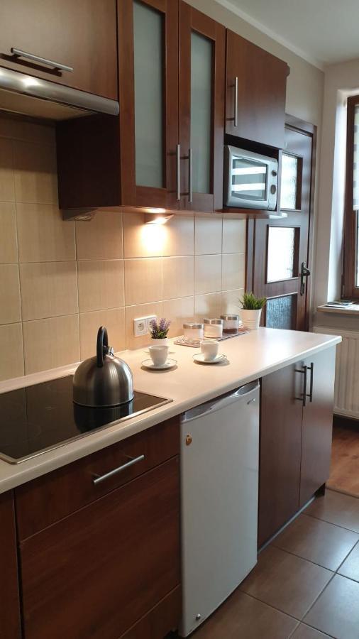 Kaizen Apartament Krynica Zdroj Ngoại thất bức ảnh